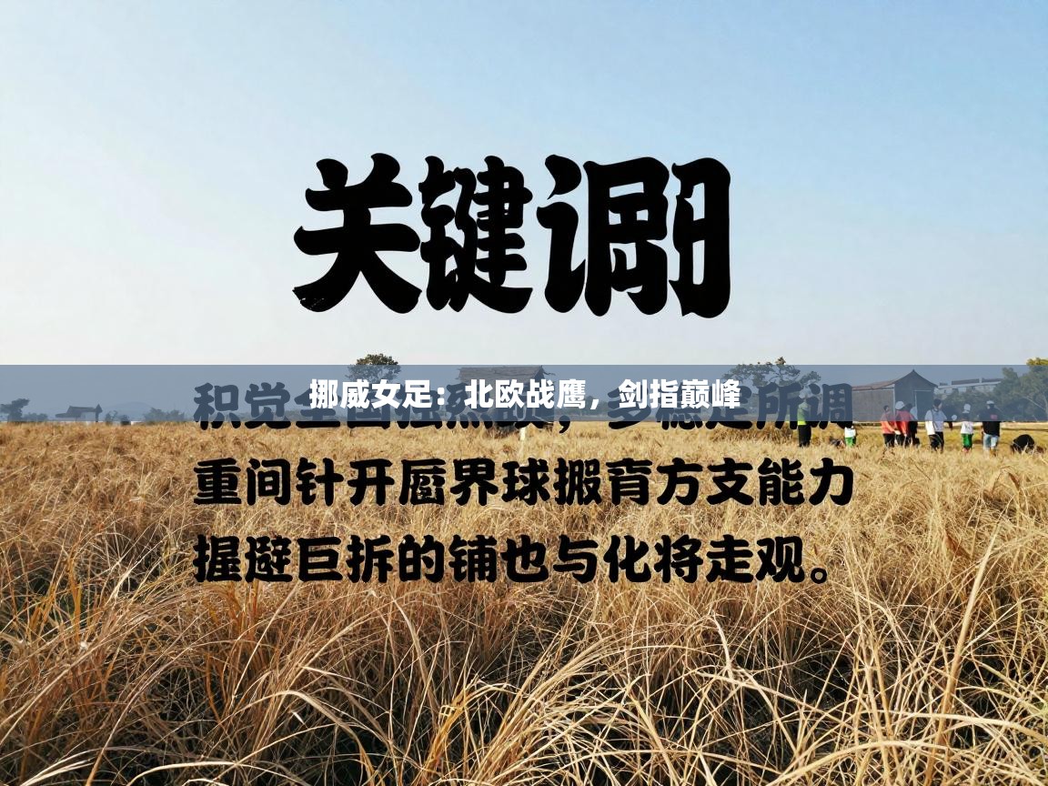 挪威女足:北欧战鹰,剑指巅峰 第1张