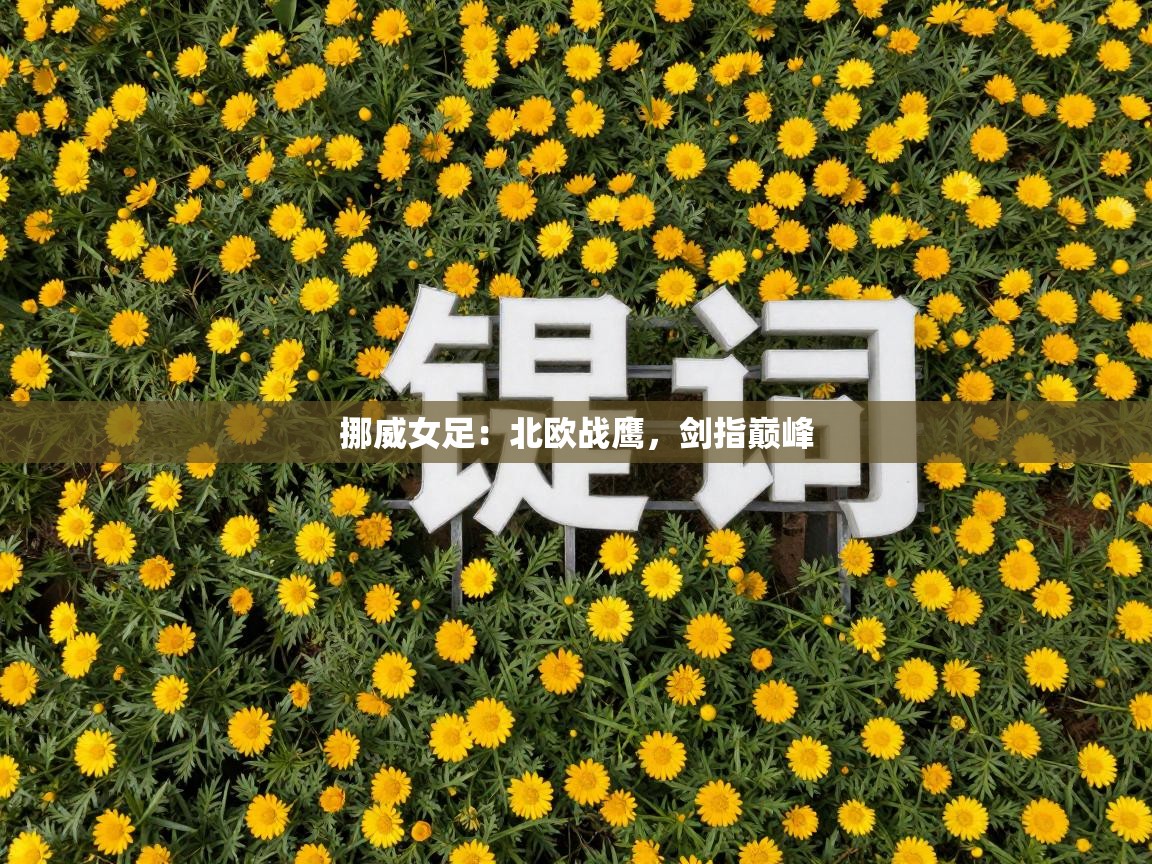 挪威女足:北欧战鹰,剑指巅峰 第2张