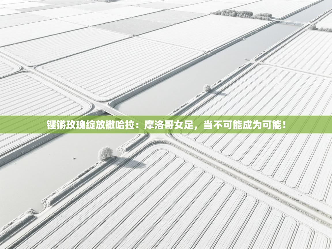 铿锵玫瑰绽放撒哈拉：摩洛哥女足，当不可能成为可能！  第2张